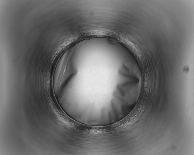 X0000098220394200805081203