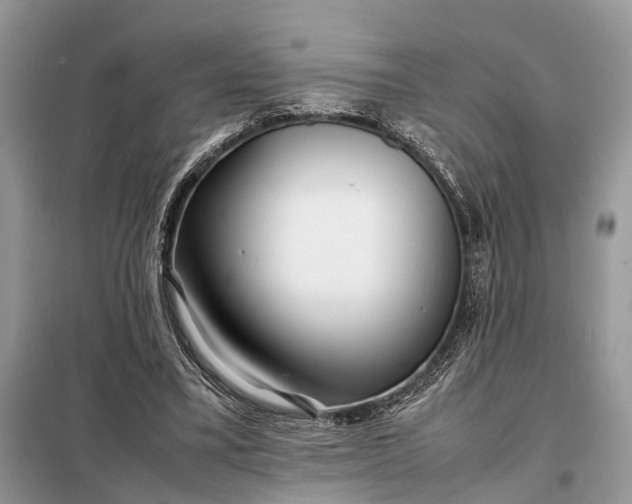 X0000098220395200805081203