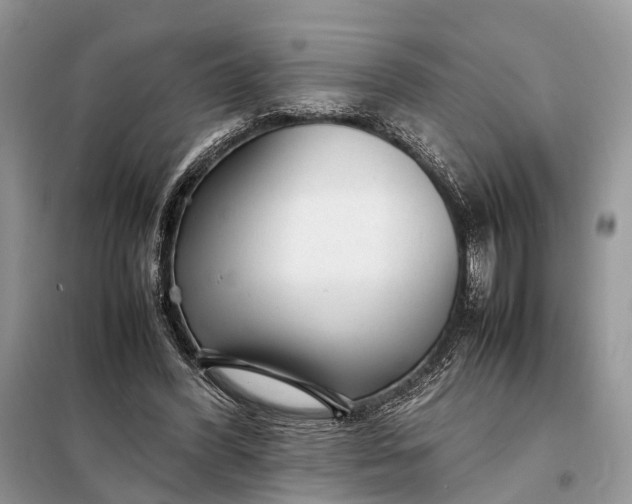 X0000098220396200805081203