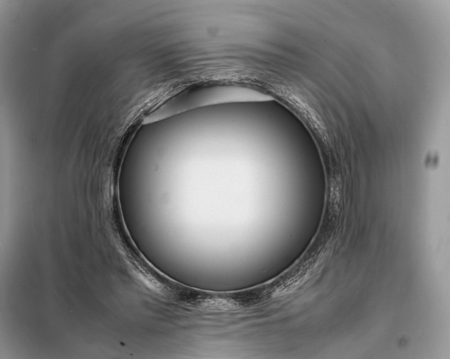 X0000098220397200805081203