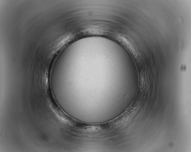 X0000098220398200805081203