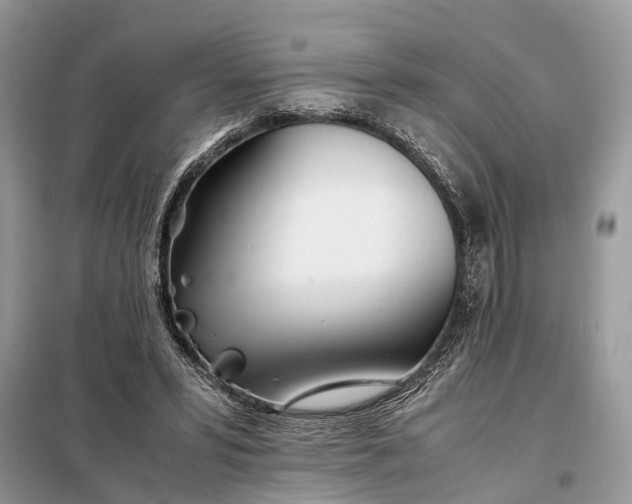 X0000098220399200805081203