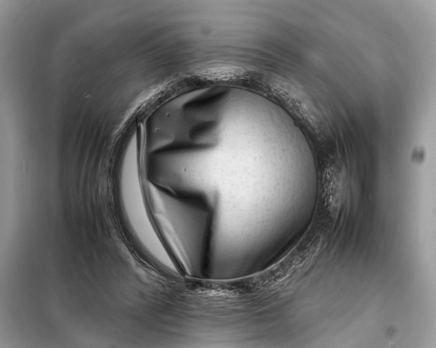 X0000098220400200805081203