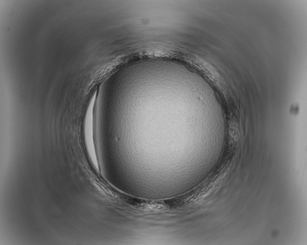 X0000098220401200805081203