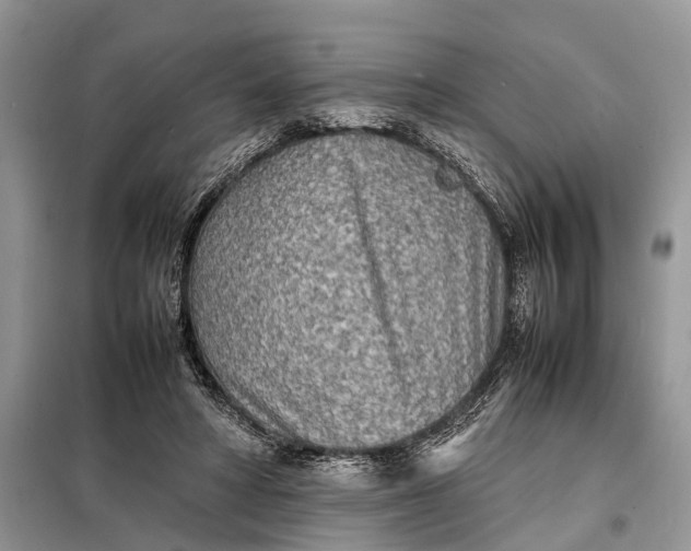 X0000098220402200805081203