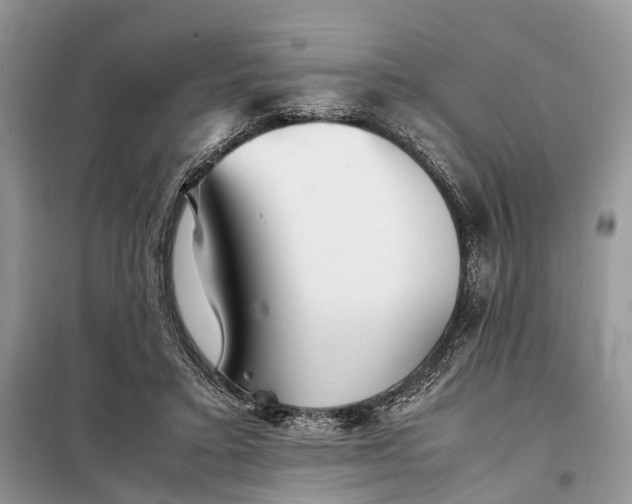 X0000098220403200805081203