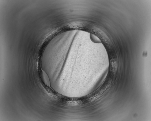 X0000098220404200805081203