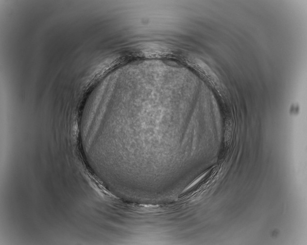 X0000098220405200805081203