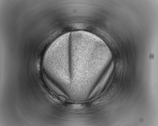 X0000098220406200805081203