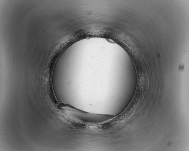 X0000098220407200805081203