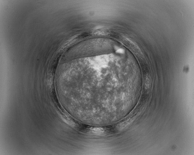 X0000098220409200805081203