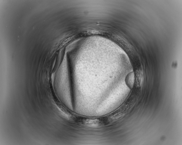 X0000098220410200805081203