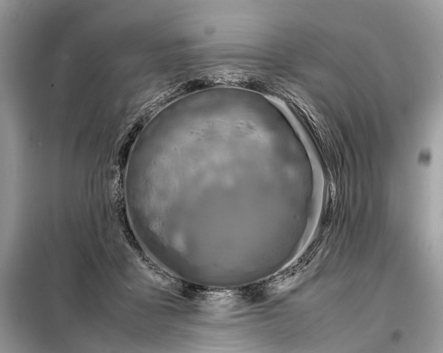 X0000098220411200805081203