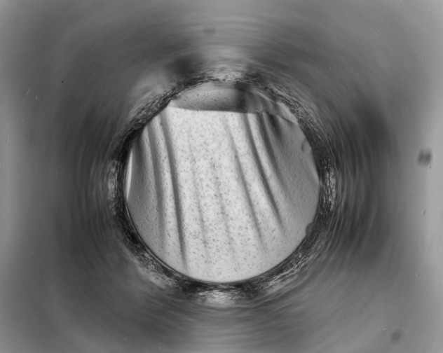 X0000098220412200805081203