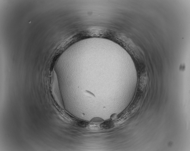 X0000098220413200805081203