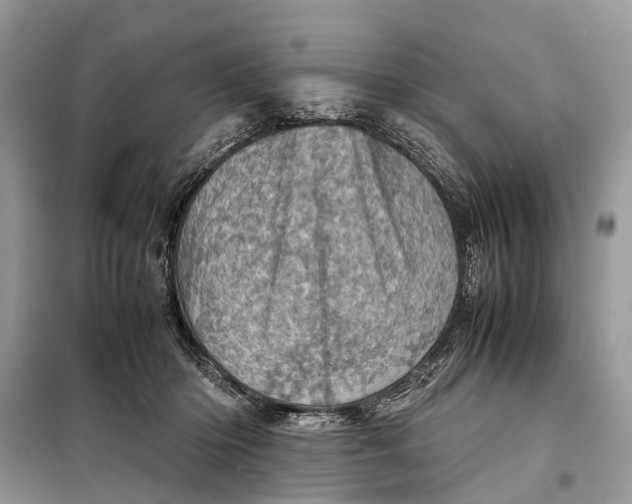 X0000098220414200805081203