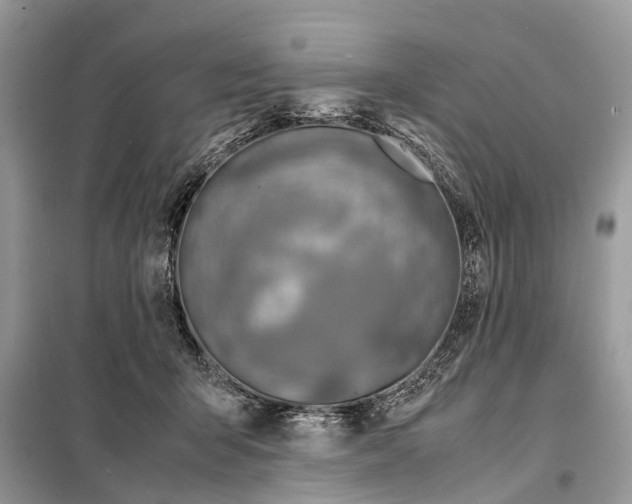 X0000098220415200805081203