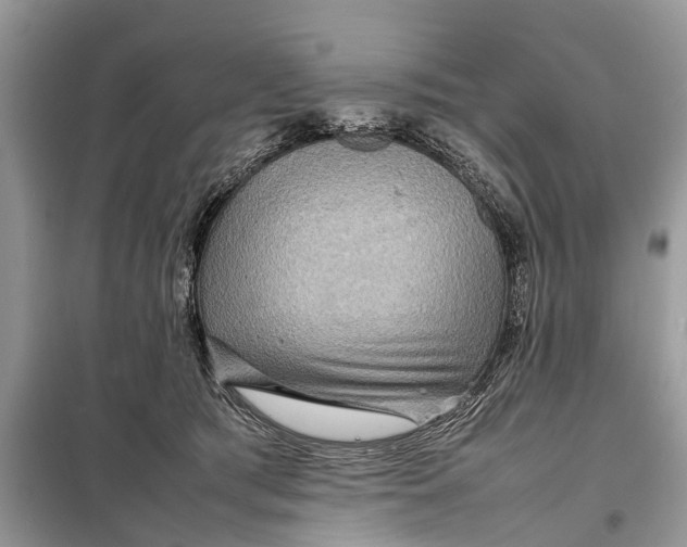 X0000098220417200805081203