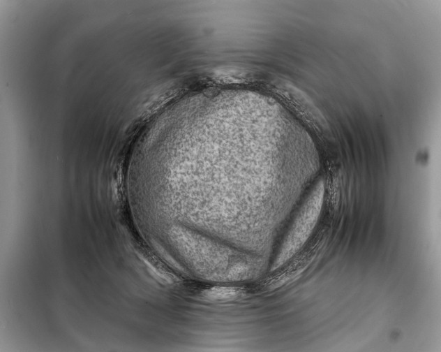 X0000098220418200805081203