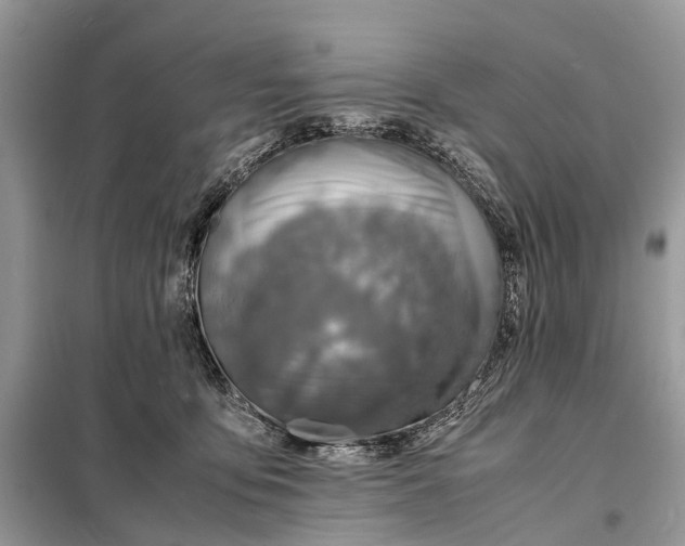 X0000098220419200805081203