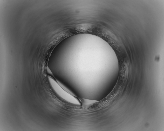 X0000098220420200805081203