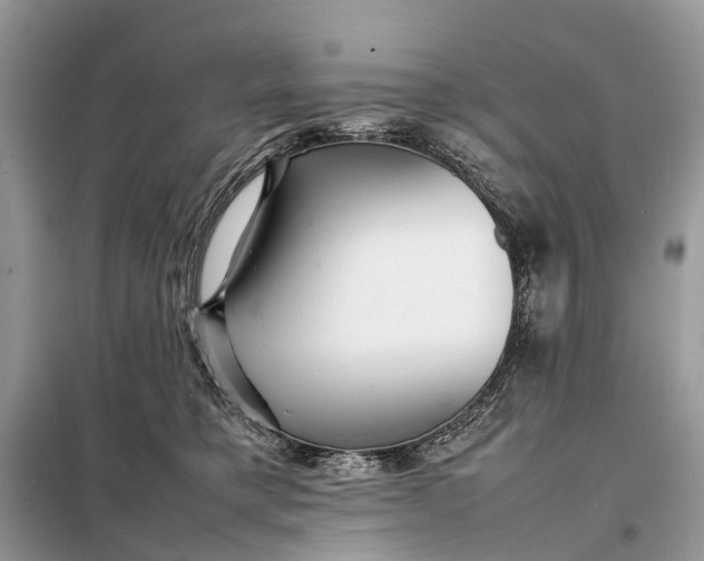 X0000098220421200805081203