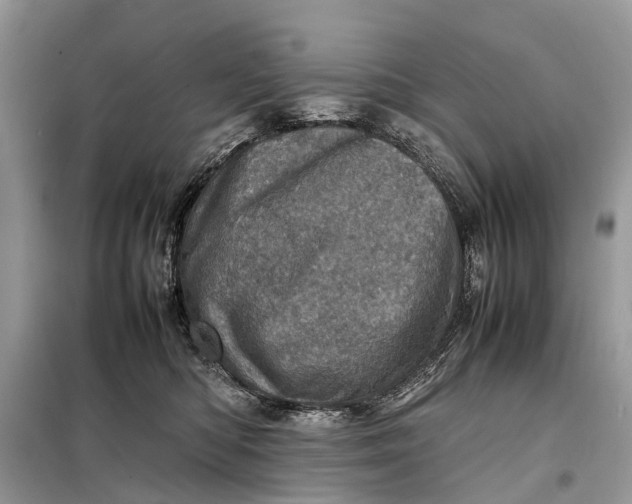 X0000098220422200805081203