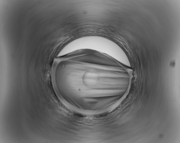 X0000098220423200805081203