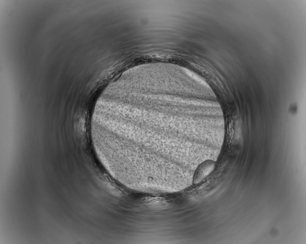 X0000098220424200805081203