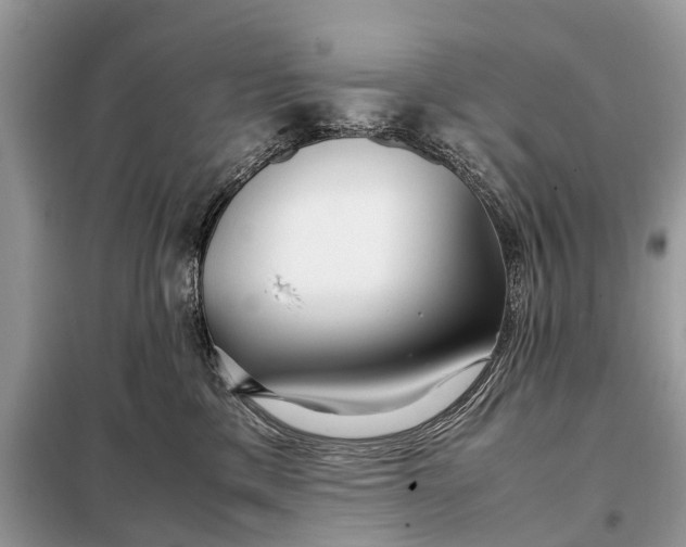 X0000098220425200805081203