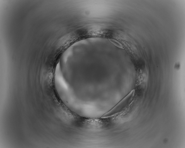 X0000098220427200805081203