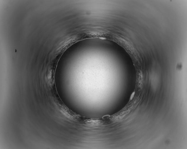 X0000098220428200805081203