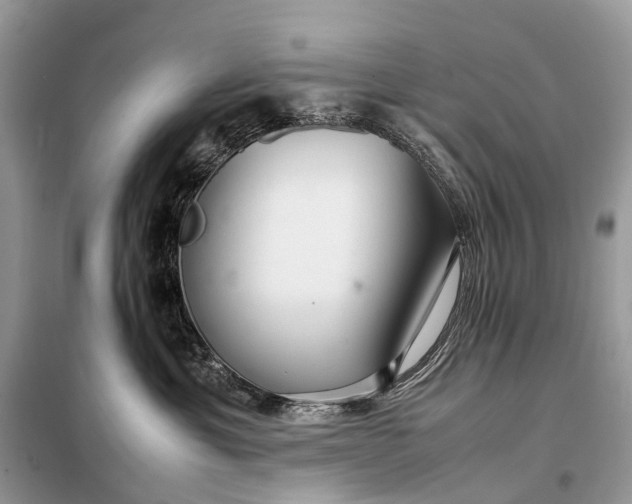 X0000098220429200805081203