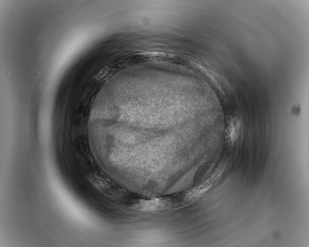 X0000098220430200805081203