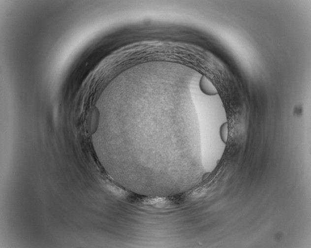 X0000098220431200805081203