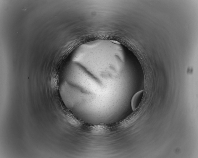 X0000098220432200805081203