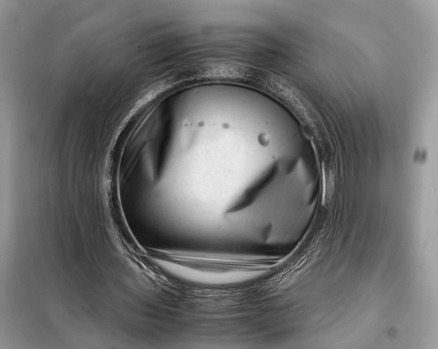 X0000098220435200805081202