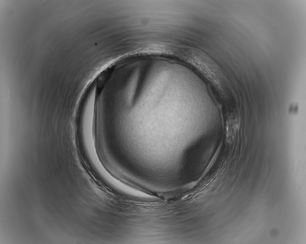 X0000098220436200805081202