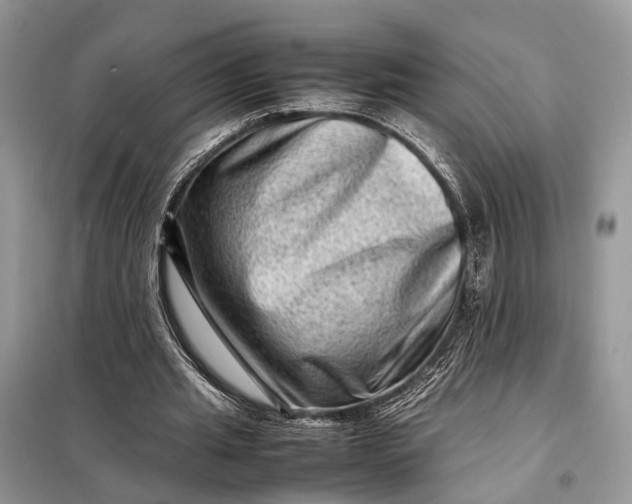 X0000098220437200805081202