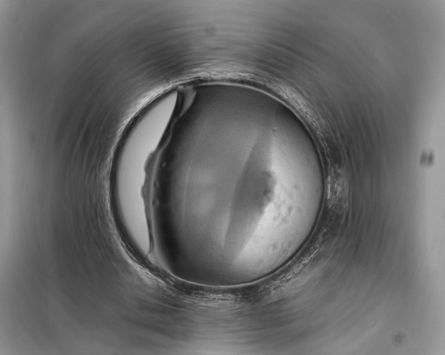 X0000098220438200805081202