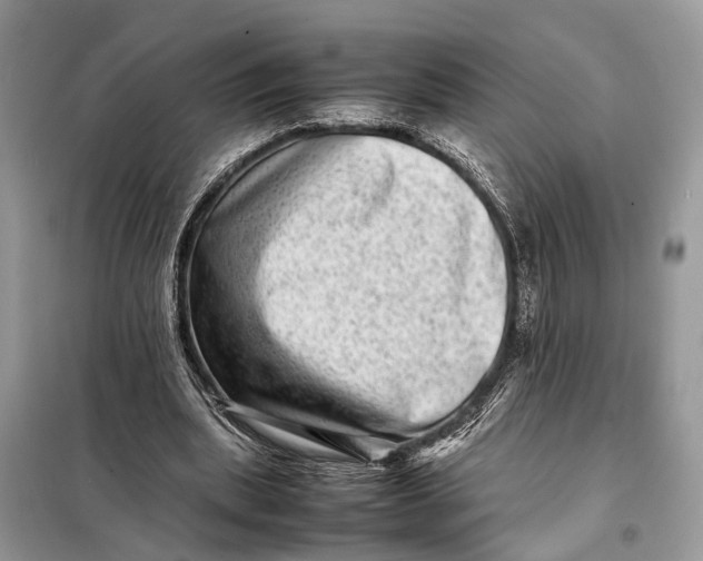 X0000098220439200805081202