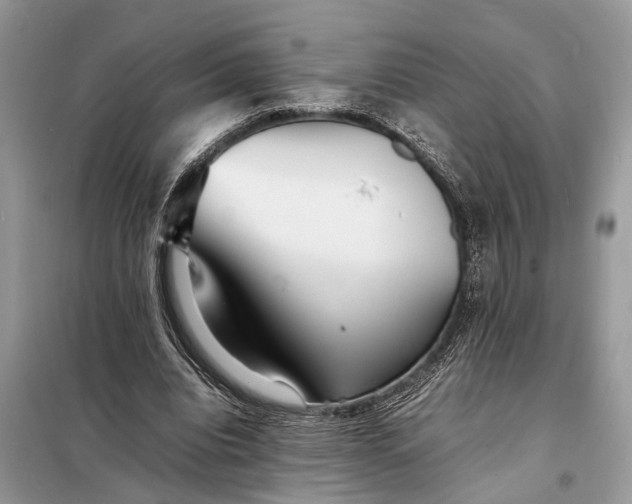 X0000098220440200805081202