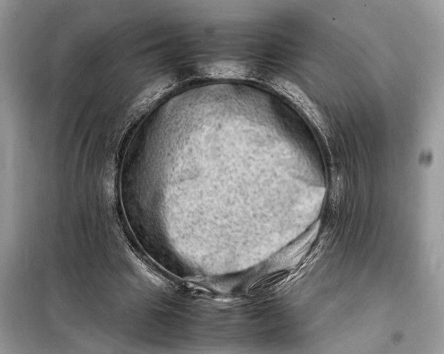 X0000098220441200805081202