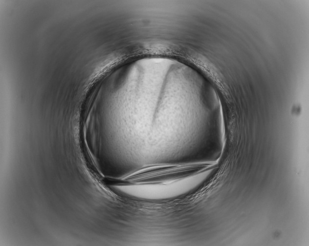 X0000098220442200805081202