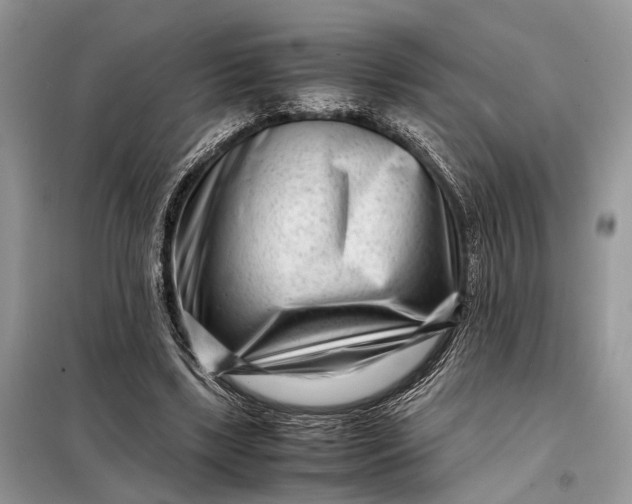 X0000098220443200805081202