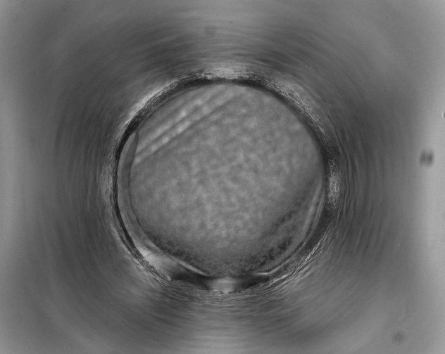 X0000098220444200805081202