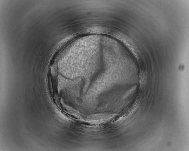 X0000098220445200805081202