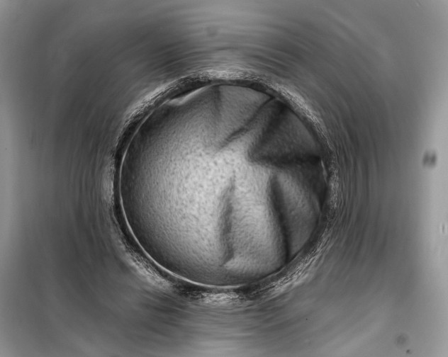 X0000098220446200805081202