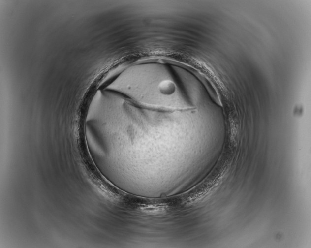 X0000098220447200805081202