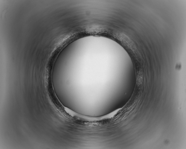 X0000098220448200805081202